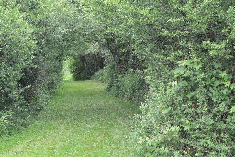 Fêtes des adhérents 2013 024